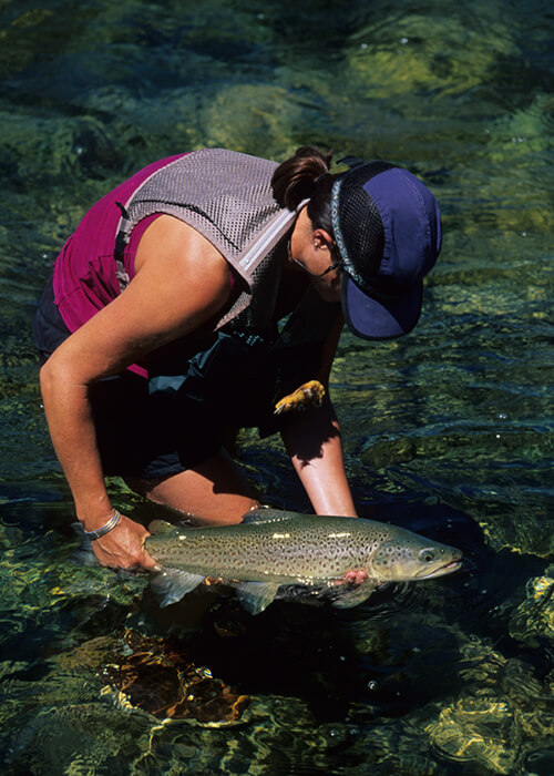 Woman holding a trout in a New Zealand river.